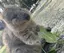 むーのプロフィール画像
