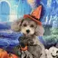 404のプロフィール画像