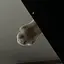 ゆーのプロフィール画像