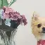 波のプロフィール画像