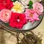 MFのプロフィール画像