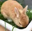 ゆかのプロフィール画像