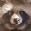 もものプロフィール画像