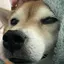 たかちなのプロフィール画像