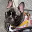 aya1222kouのプロフィール画像
