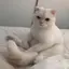 Mのプロフィール画像
