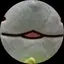 向日葵のプロフィール画像
