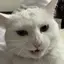 ゆのプロフィール画像