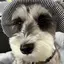 めるのプロフィール画像