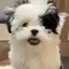 Maiのプロフィール画像