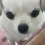 あゆのプロフィール画像