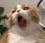 ぬのプロフィール画像