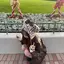 momoのプロフィール画像