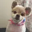 かおるのプロフィール画像