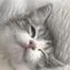 はなのプロフィール画像