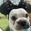 あずのプロフィール画像