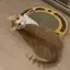 びーのプロフィール画像