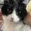 ayuのプロフィール画像