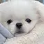 にこのプロフィール画像