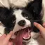 ににのプロフィール画像