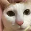 なかむのプロフィール画像