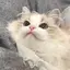 りのプロフィール画像
