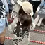 naaのプロフィール画像