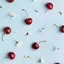 Cherryのプロフィール画像