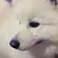 りのプロフィール画像