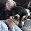 ききこのプロフィール画像