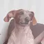 真子のプロフィール画像