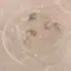 ♩のプロフィール画像