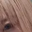 まぷのプロフィール画像