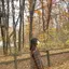 萌音のプロフィール画像