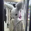 もけのプロフィール画像