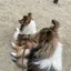 ꒰ঌ𝑴𝑰𝑲𝑨໒꒱のプロフィール画像