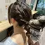 サイのプロフィール画像