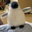 KyOKAのプロフィール画像