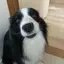 abのプロフィール画像