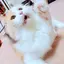 Timのプロフィール画像