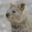 ぽんのプロフィール画像