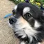 リリのプロフィール画像