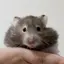 みのプロフィール画像