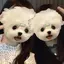 sou.のプロフィール画像