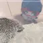 yのプロフィール画像