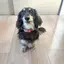 なおのプロフィール画像