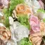 NONCHANのプロフィール画像