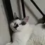 Mのプロフィール画像