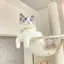 YuukIのプロフィール画像