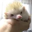 manaのプロフィール画像